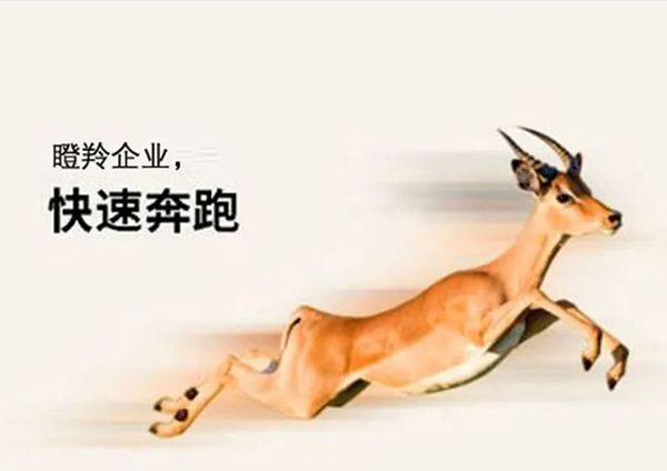 喜報！廣州研恒入選廣州市“瞪羚企業”